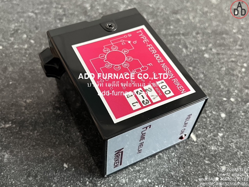 Flame Relay TYPE-FER-002 AC100V (9)